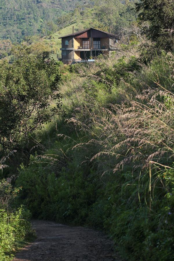 Villa Verde Procida Dış mekan fotoğraf