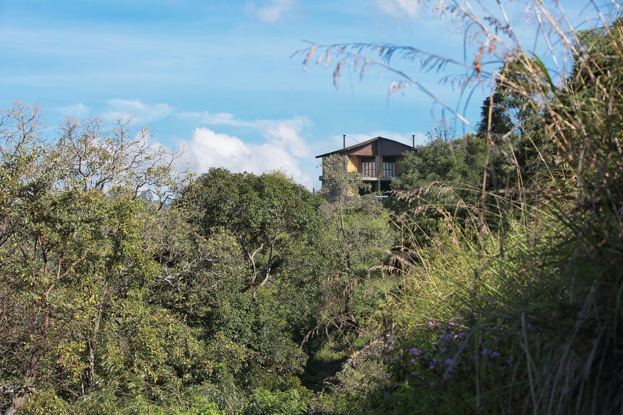 Villa Verde Procida Dış mekan fotoğraf