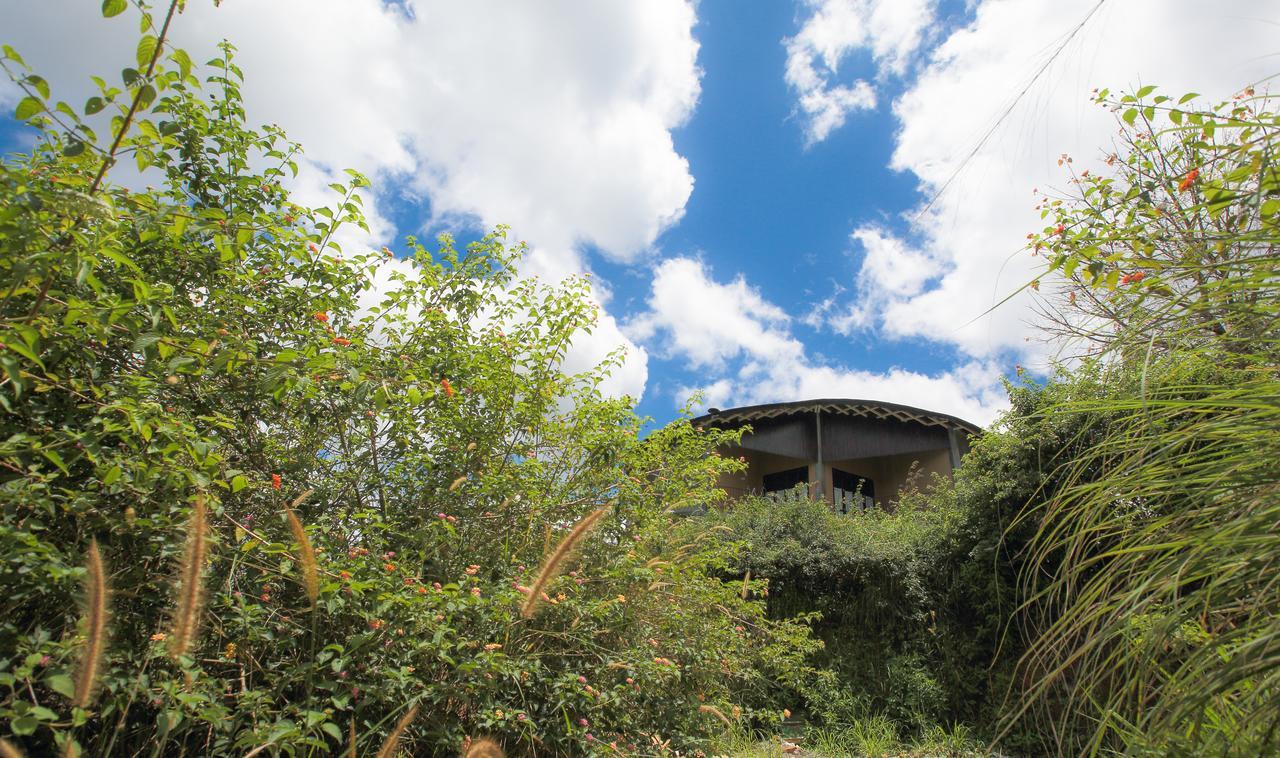 Villa Verde Procida Dış mekan fotoğraf